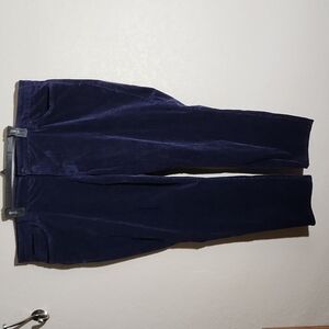 Edyson Jeans Womens size 24W Boyfriend Cordory Velvet Navy Blue